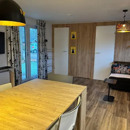 Bospark Wolfsven - 1511 Chalet